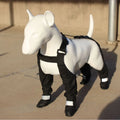 Black waterproof non-slip dog paw protectors available in six sizes
