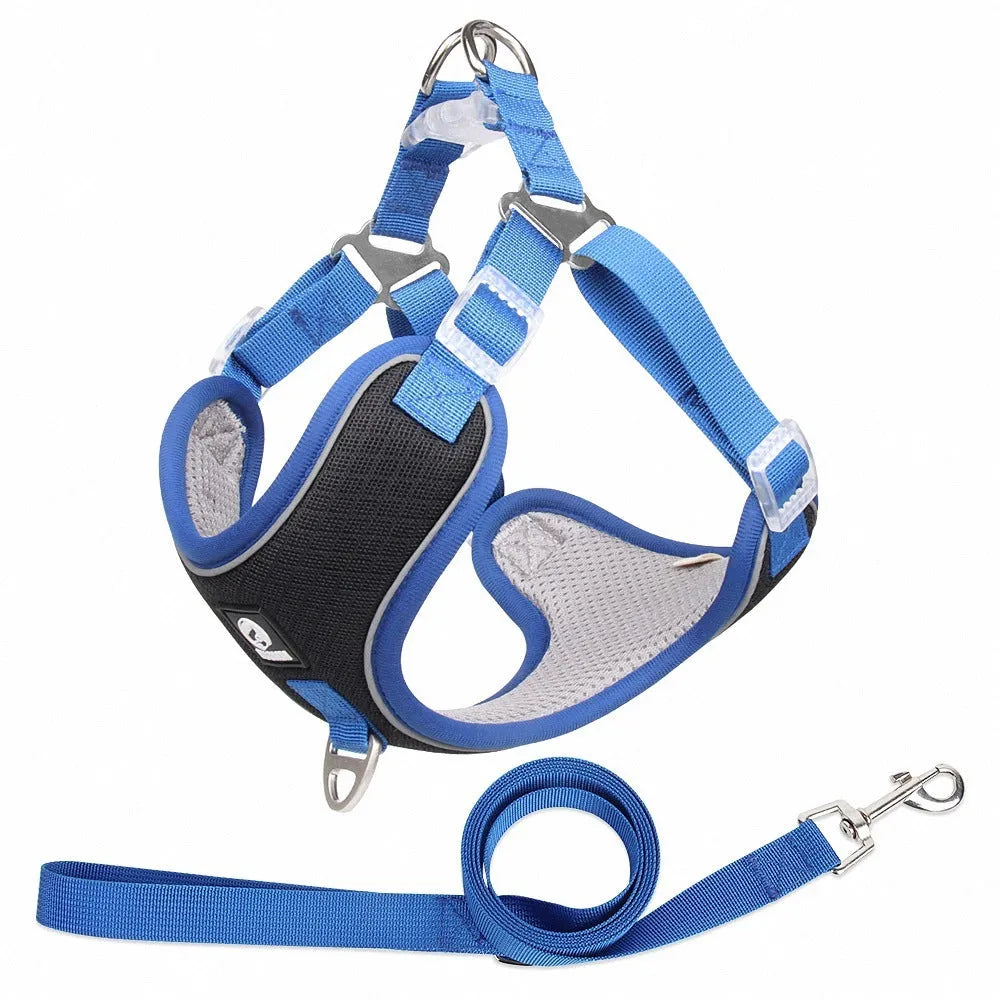 Adjustable breathable mesh dog harness with reflective trim in multiple colour options