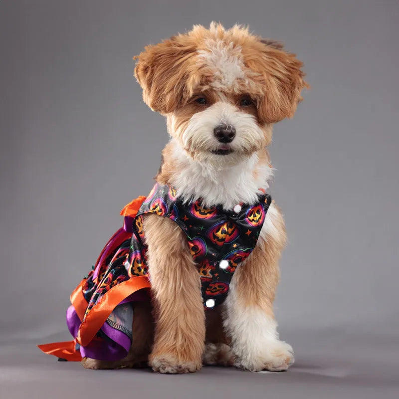 Halloween pet skirt dog costume with colourful pumpkin and skull designs