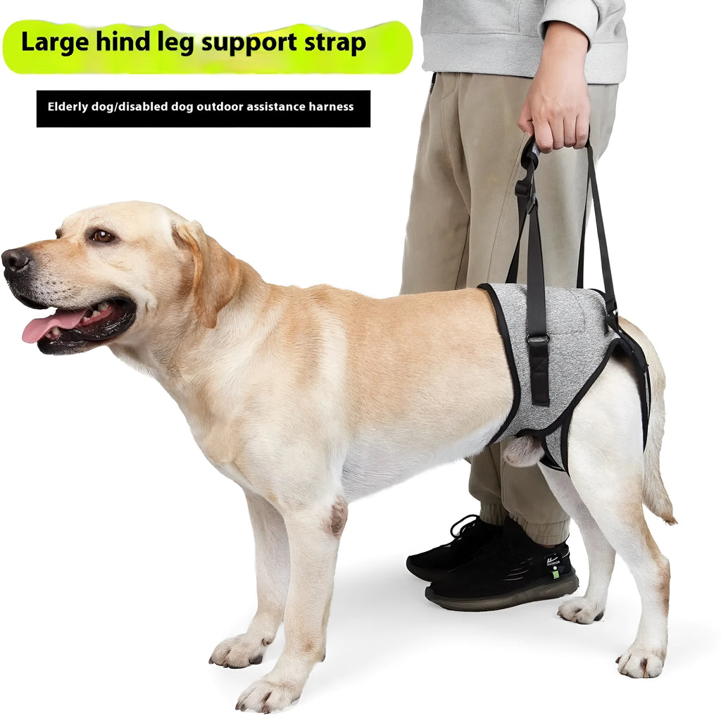 Grey neoprene dog rear leg recovery support belt showing sizing chart for S, M, L, and XL.