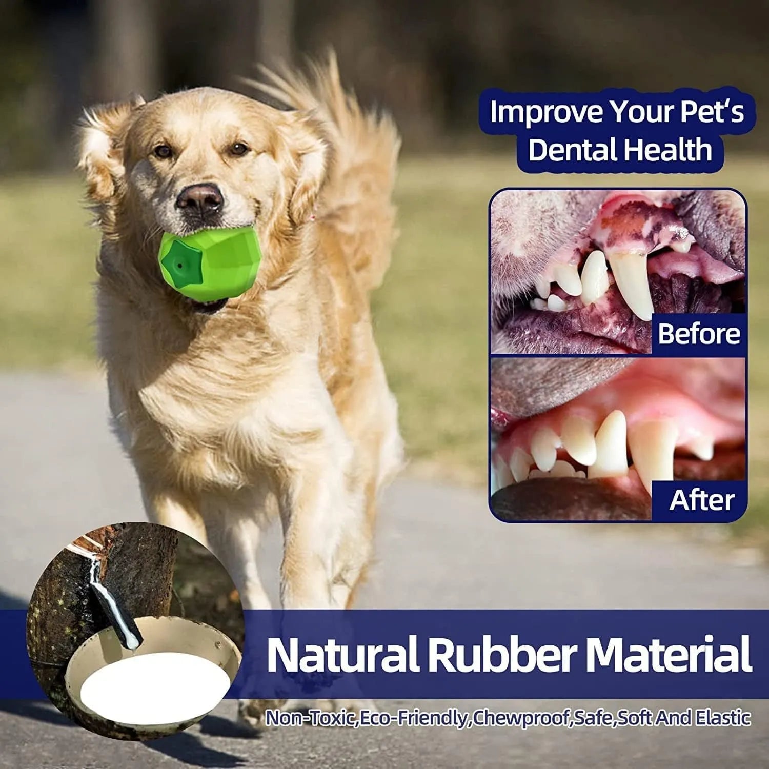 Green natural rubber dog squeaky toy for aggressive chewers