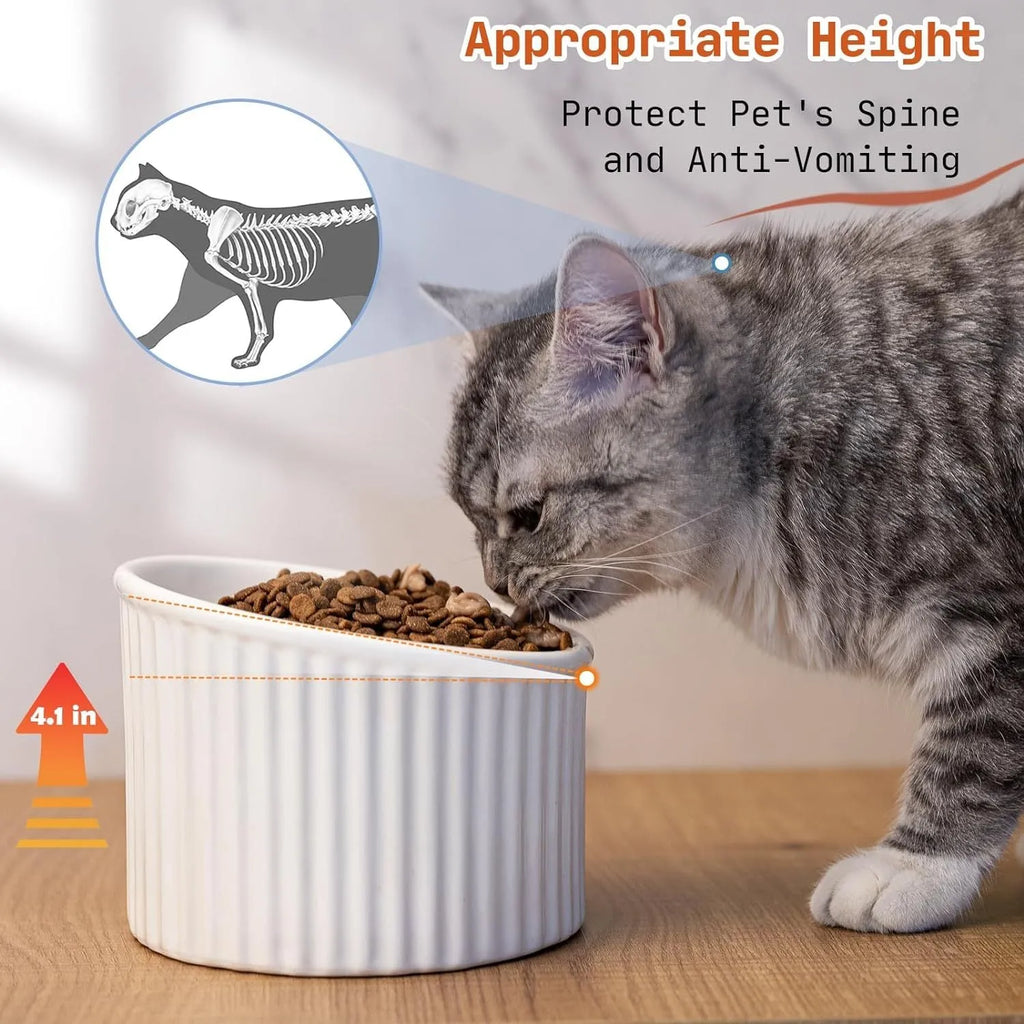 A dark green round ceramic cat bowl elevated on a base, shown at an angle.