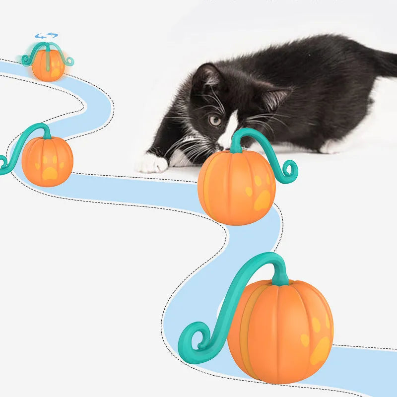 Electric cat toy ball with motion sensor and light up function in watermelon design