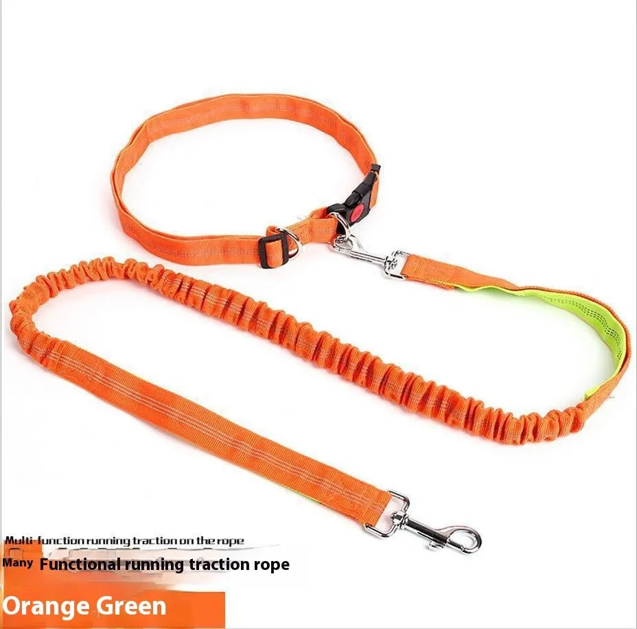 Grey and green reflective elastic dog running leash with a 2.5cm wide nylon strap.