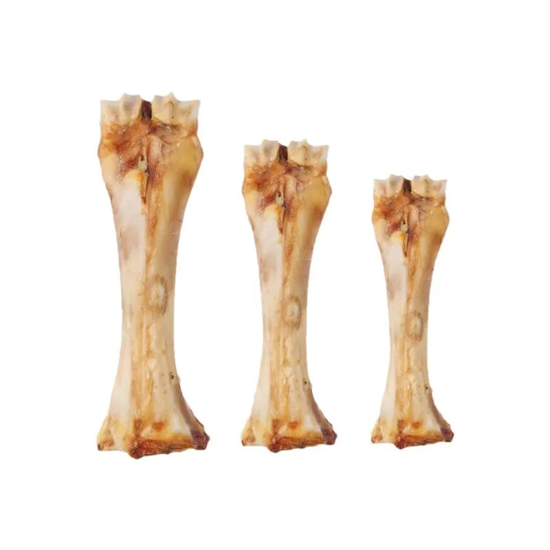 Puppy molar rod dental chew in three sizes with roasted ox bone flavour for training and teeth cleaning