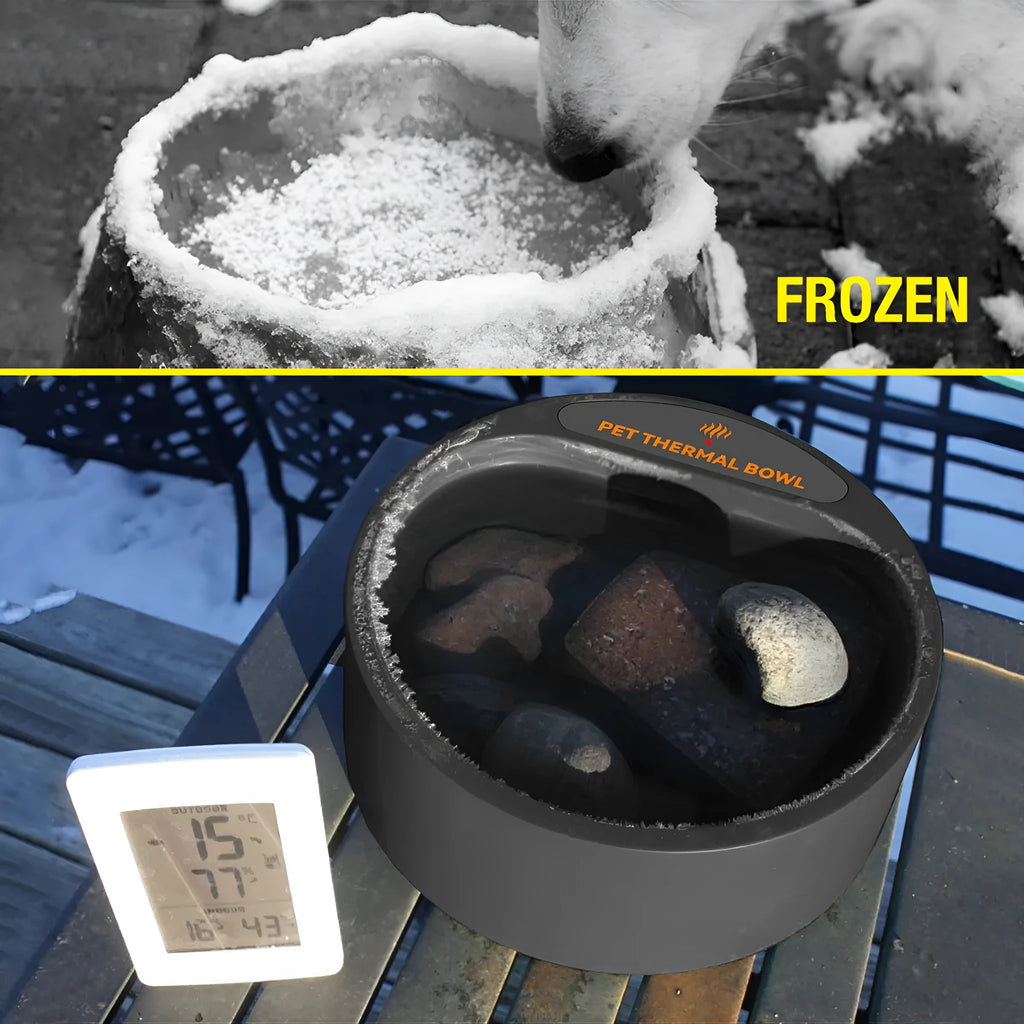 Black pet heating bowl with 2.2L capacity and 35W warming element for cats and dogs