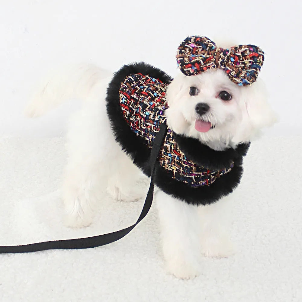 Dog wearing cloak costume with chest strap and matching traction rope in beret or bow style