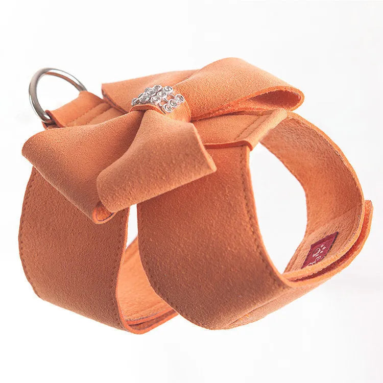 Dog wearing microfiber chest strap with decorative bow knot in blue colour