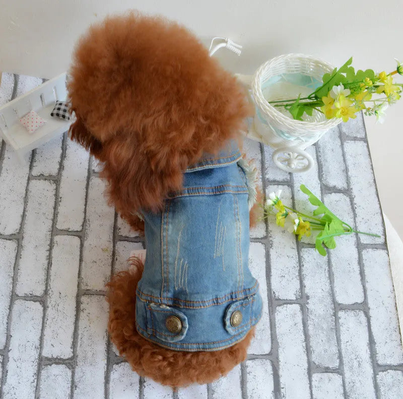 Retro scratch pattern denim dog vest in dark and light colours for autumn and winter wear