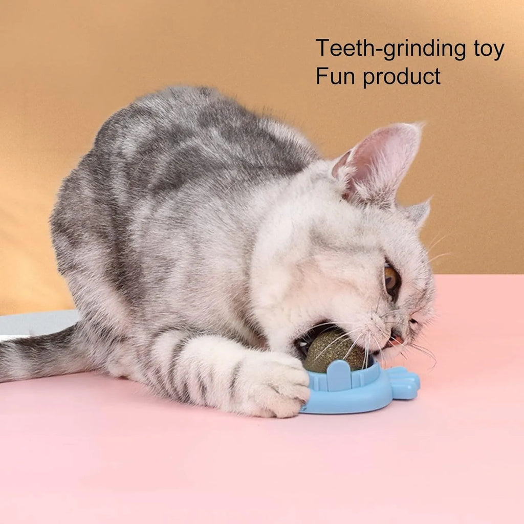 Blue carrot-shaped self-adhesive catnip toy for wall mounting with cover