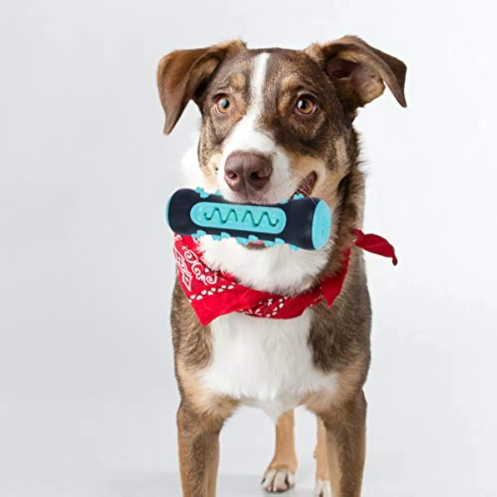 Natural rubber dog toothbrush chew toy in blue colour on white background