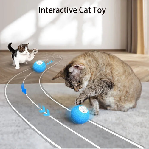 Remote control cat toy ball in blue, green and yellow colours with sound features