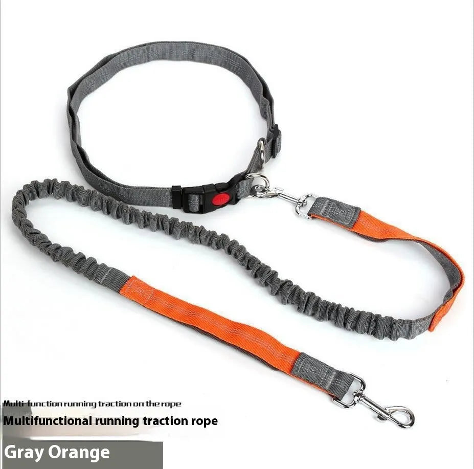Grey and green reflective elastic dog running leash with a 2.5cm wide nylon strap.