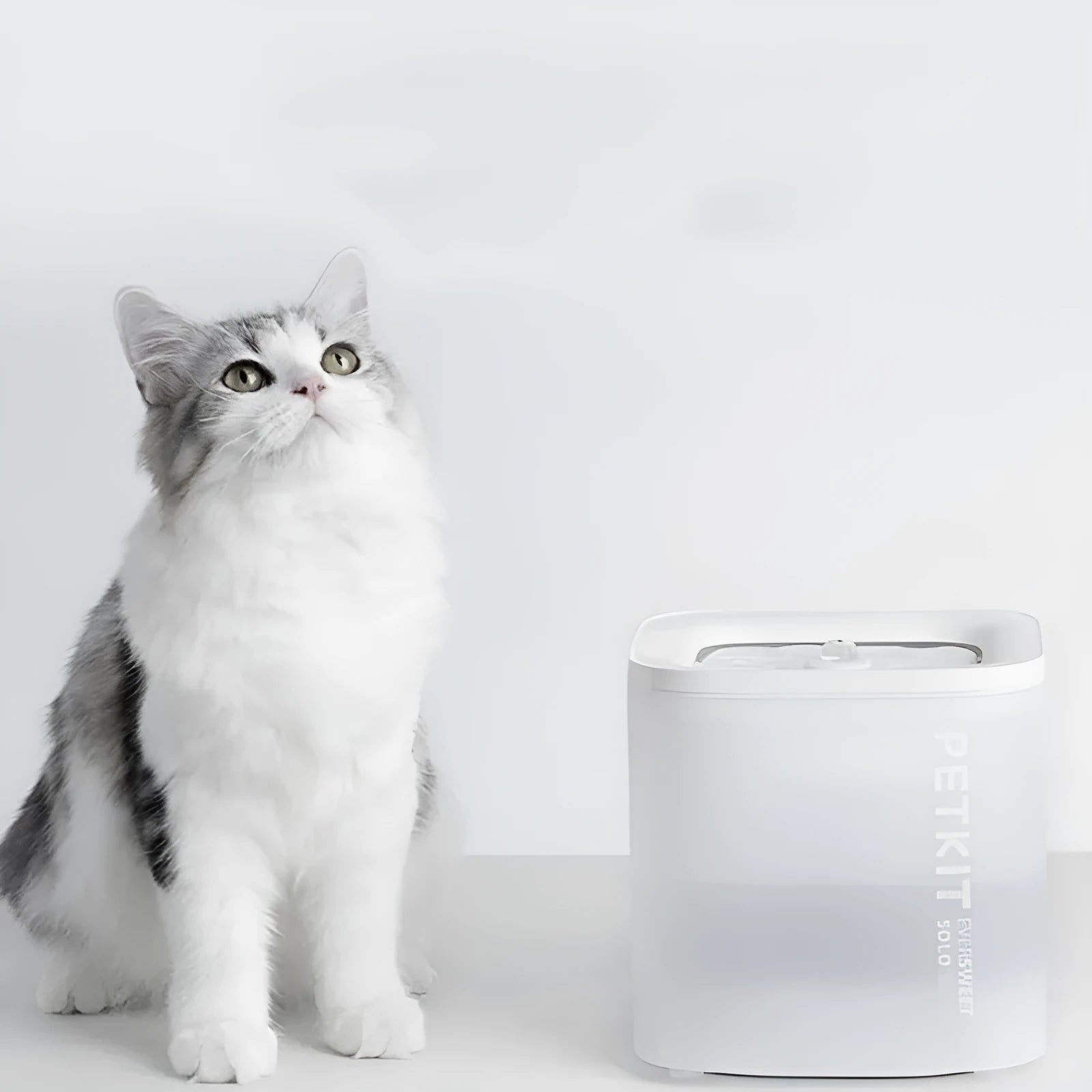 Xiaopei SOLO2 smart pet water dispenser with filtration system for dogs and cats