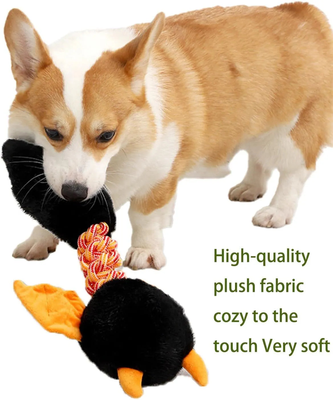 Soft plush dog toy with squeaker, rattle, and rope knot in black, green, or red.
