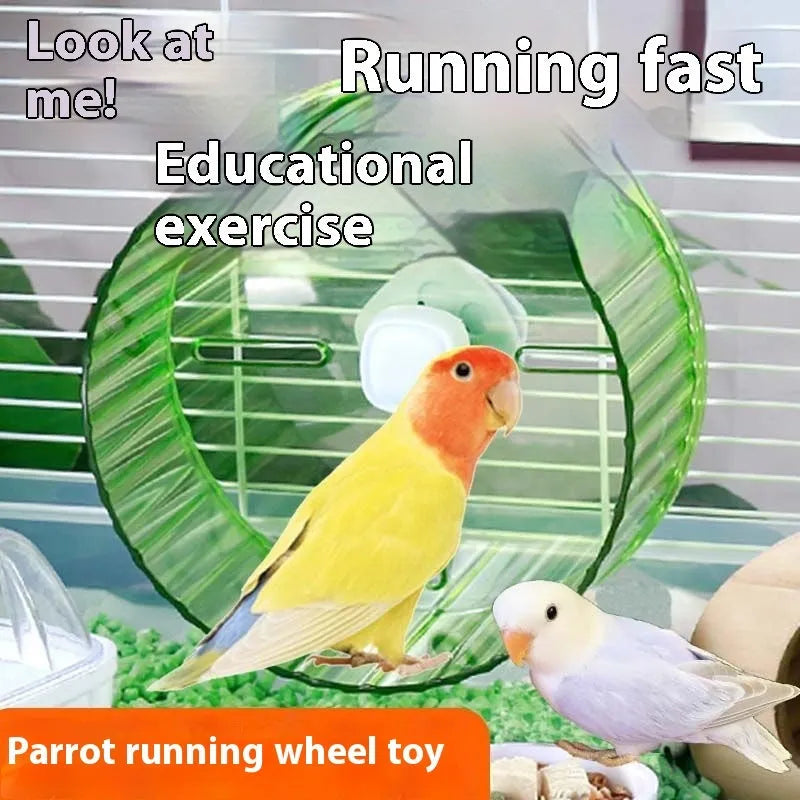 Plastic parrot running wheel toy for bird exercise in multiple colour options