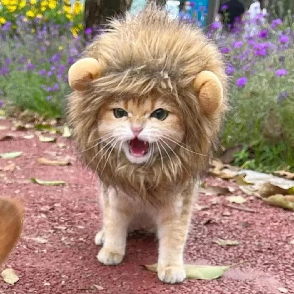 Adjustable lion mane wig accessory on a cat, showing plush artificial hair and elastic band.