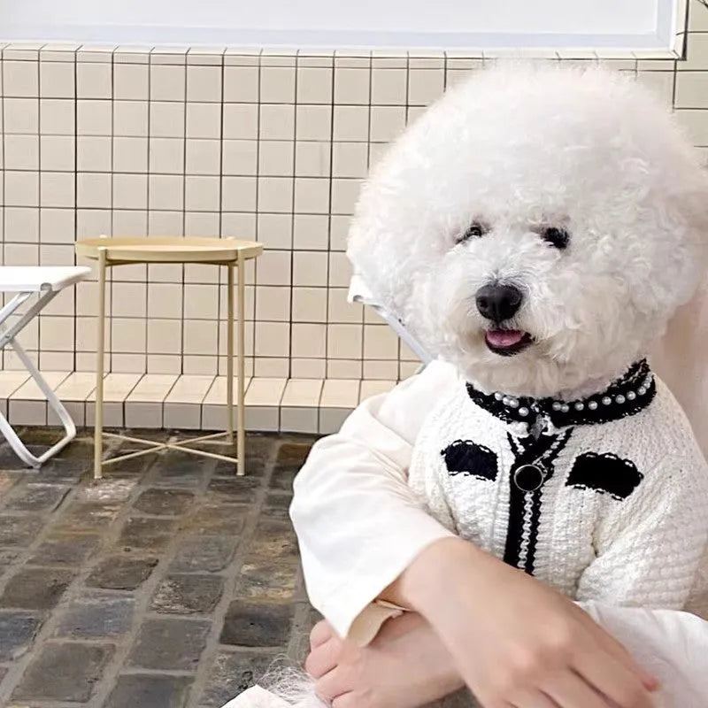 Korean style white dog sweater with pearl collar detail on small breed dog