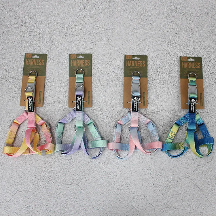 Gradient colour dog leash set showing pink and blue nylon collar and chest strap harness options