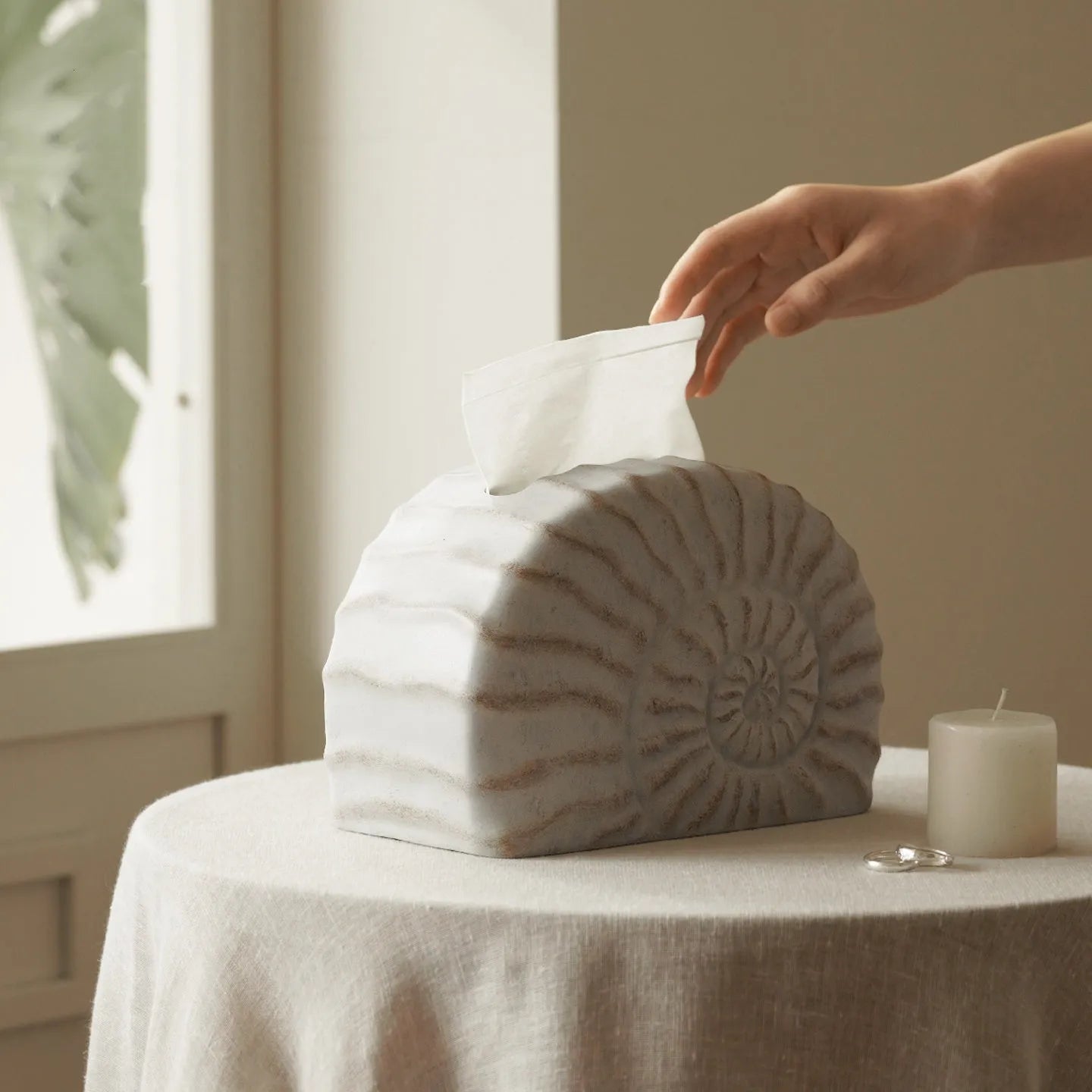 White resin tissue box with conch shell design, modern style, 24cm wide.