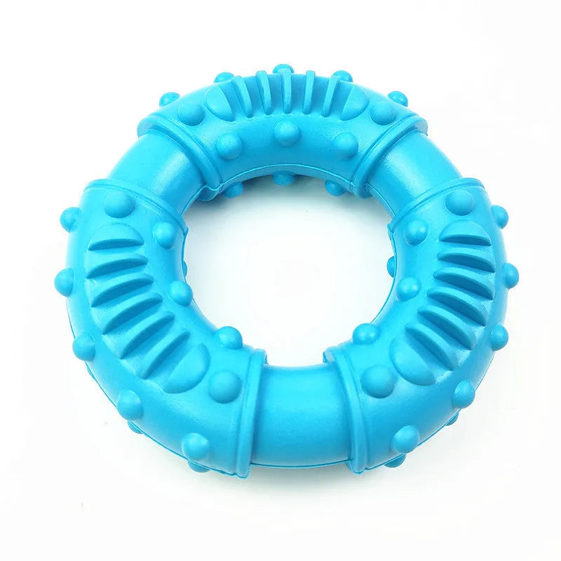 Blue bouncy hollow dog fetching stick toy for catch and fetch games with a dog.