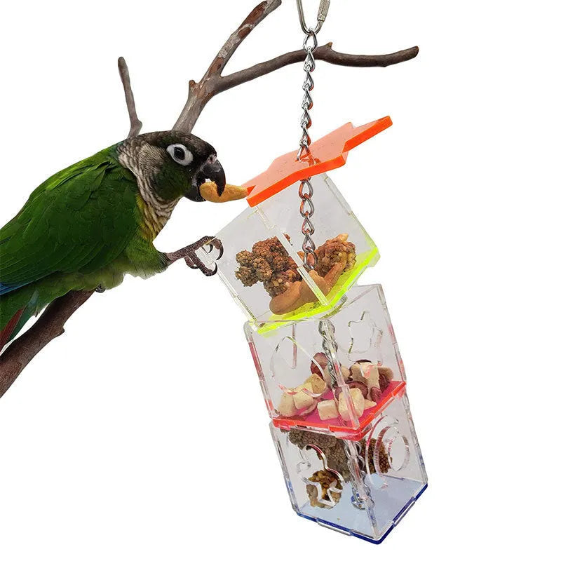 Clear acrylic bird foraging device educational toy for parrots measuring 5x5x32 cm