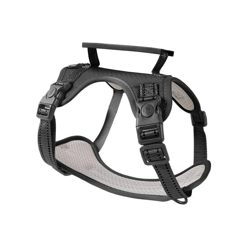 Adjustable polyester dog chest harness and lead in one of six colours: black, yellow, red, orange, pink, or Lake Blue.