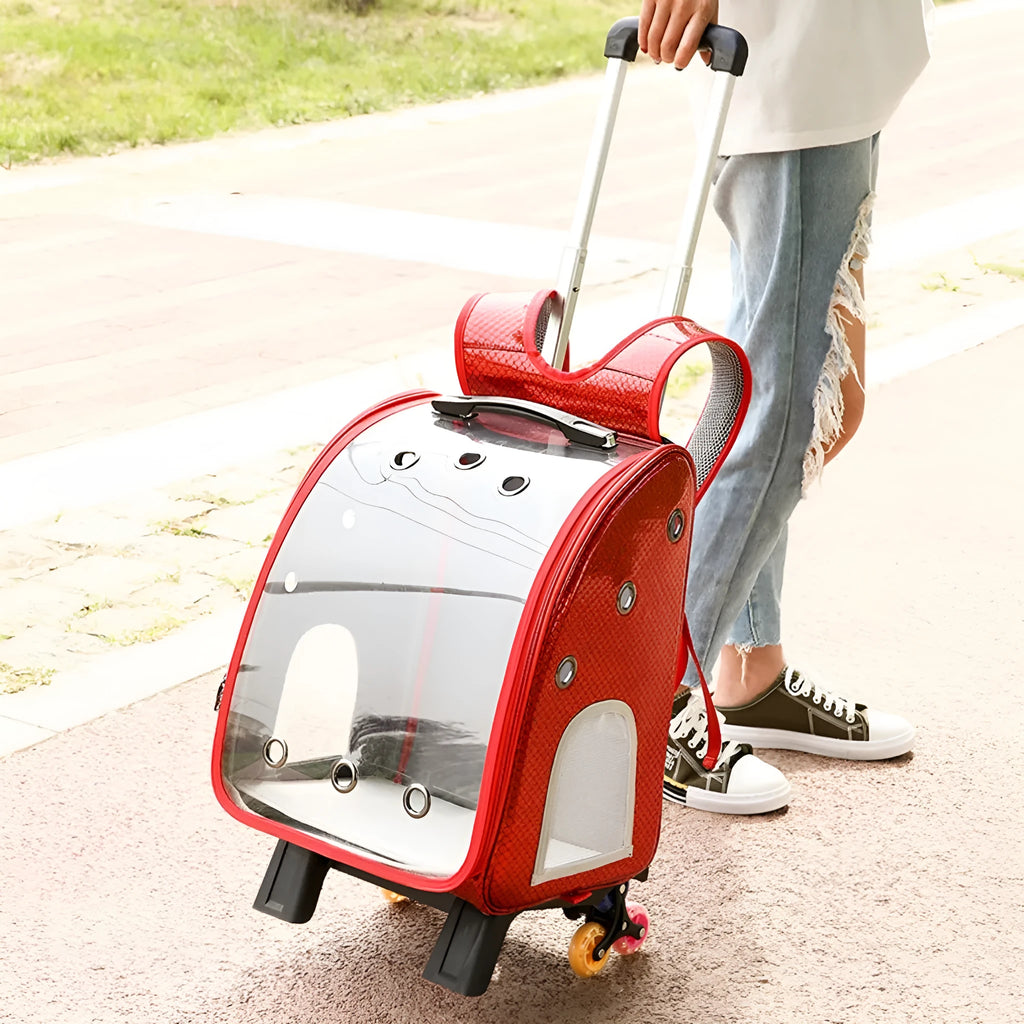 Blue transparent pet trolley bag with folding shoulder strap for small dogs and cats