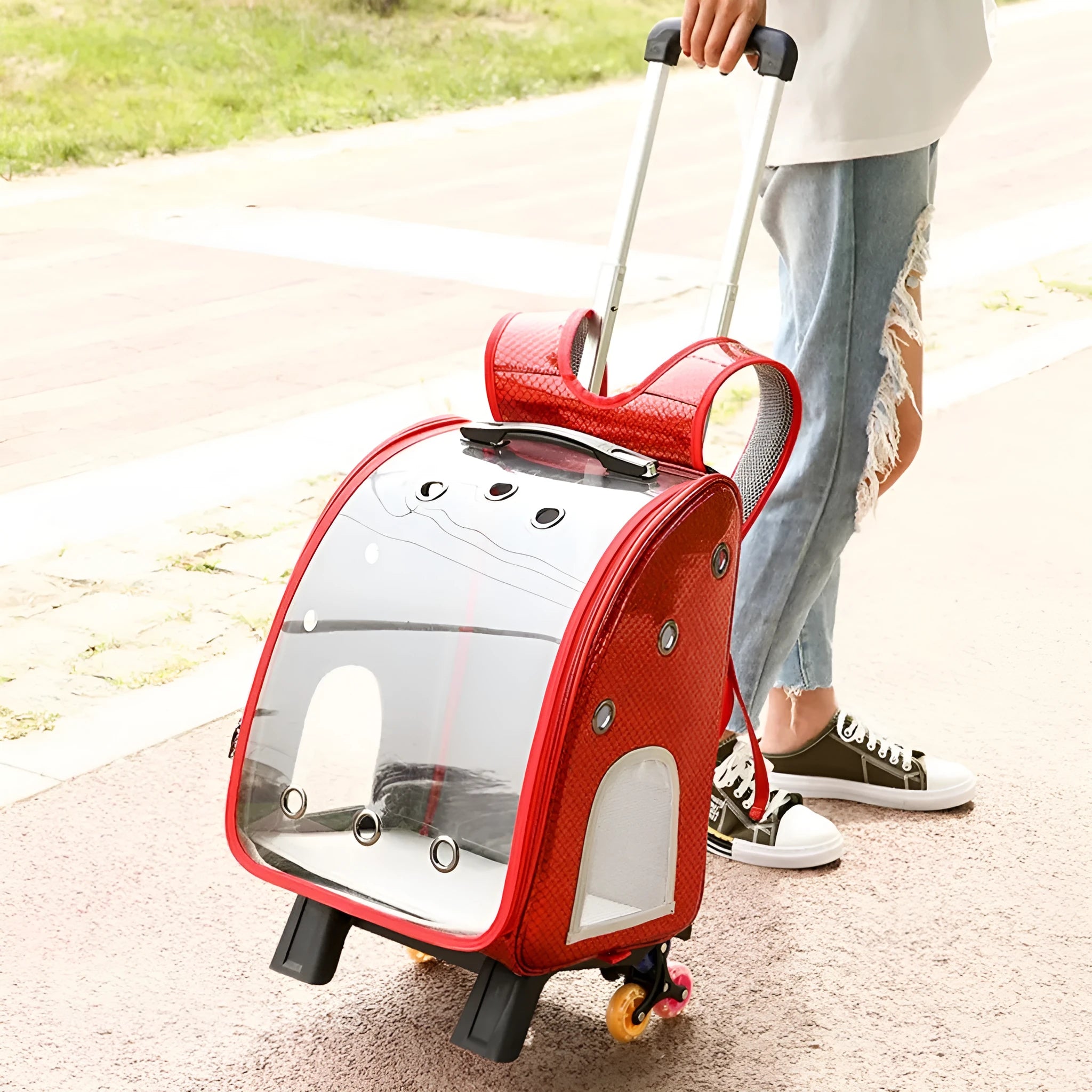 Blue transparent pet trolley bag with folding shoulder strap for small dogs and cats