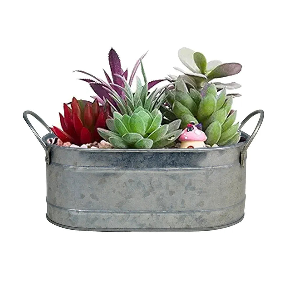 Iron sheet desktop flowerpot for succulent and herb planting