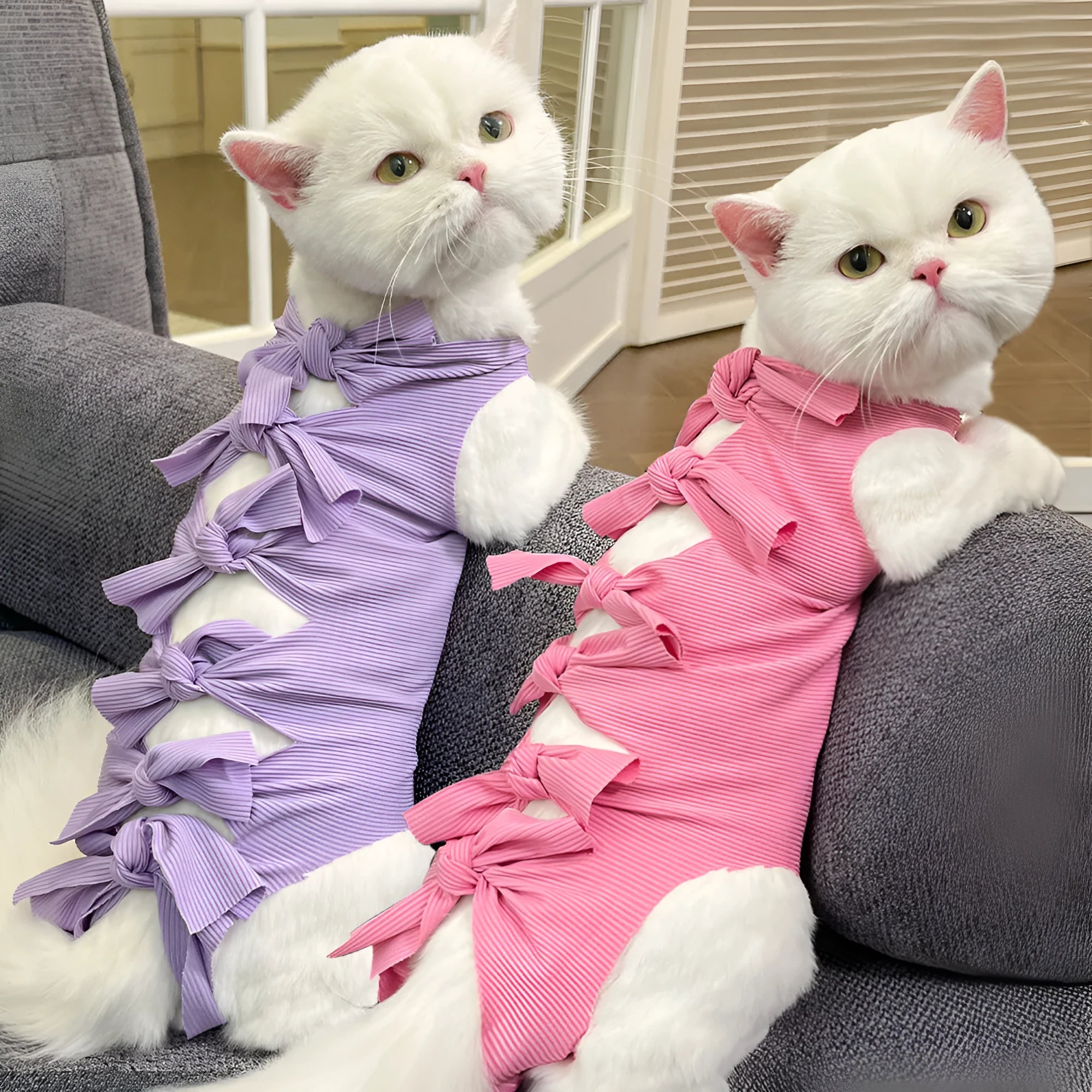 Cat wearing pink sterilisation recovery clothing with lace-up closure after surgery