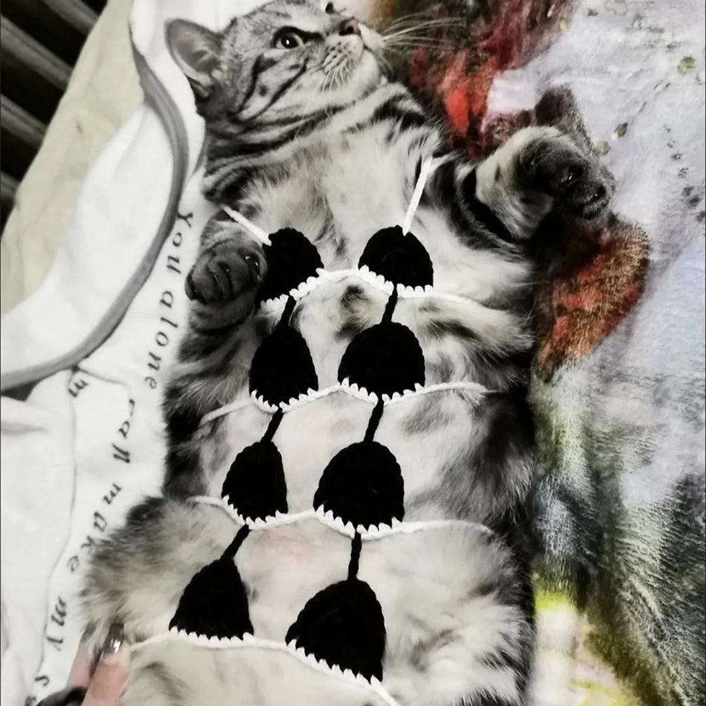 Cat wearing sweet-style bikini costume in multiple colour options for festive events