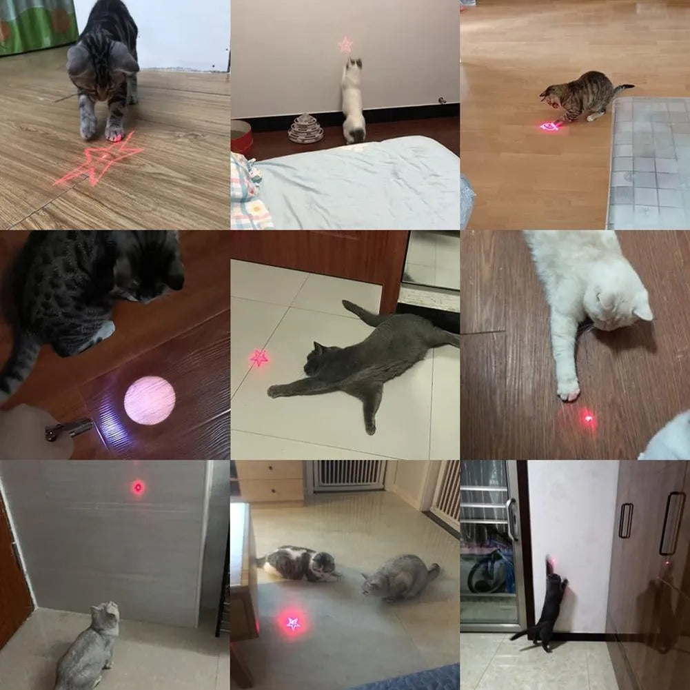 USB rechargeable infrared cat teaser toy and keychain torch in black or pink
