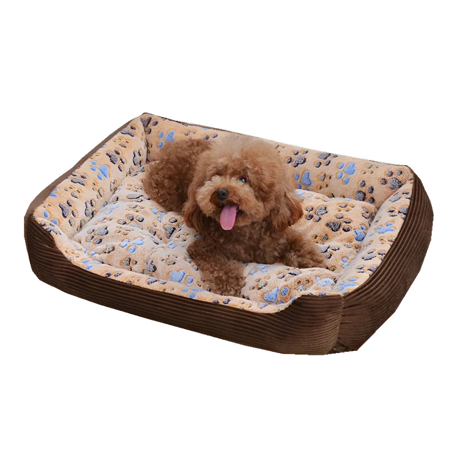 Beige plush bolster dog bed for a small dog, showing raised edges and soft fabric.