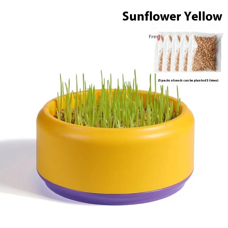 Hydroponic cat grass growing kit with choice of blue, green or yellow starter cups and five seed packs