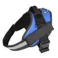 Reflective adjustable dog harness with no-pull chest strap in multiple colour options