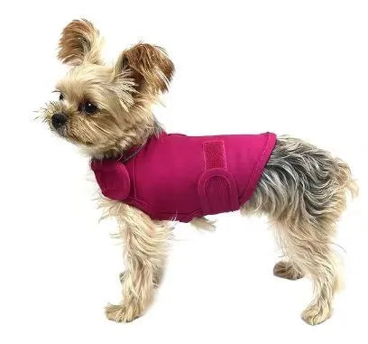 Brown brocade cotton dog anxiety tank top on a model dog, showing the casual tank top style.