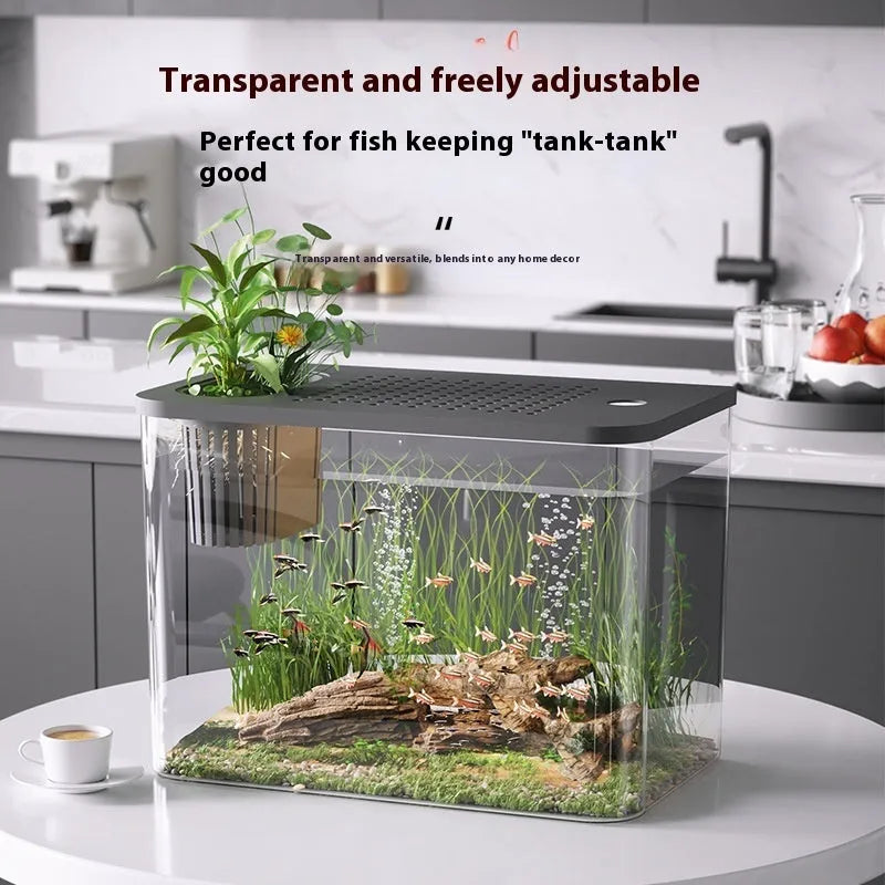 Black and white plastic betta fish tank with cover measuring 32cm by 18.5cm by 23cm