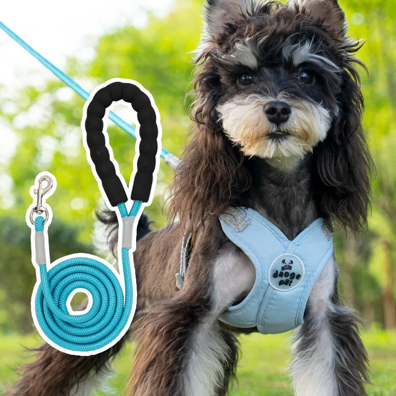 Dog wearing blue vest with attached hand holding rope leash for walking control