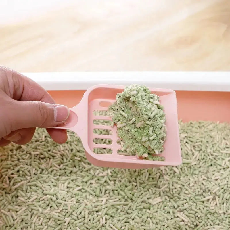 Blue plastic cat litter scoop with sand filter, shown next to a ruler indicating 20cm length.