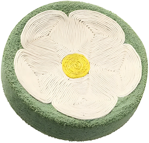 Green round sisal cat scratcher bowl lounge bed with deep bowl design for scratching and sleeping
