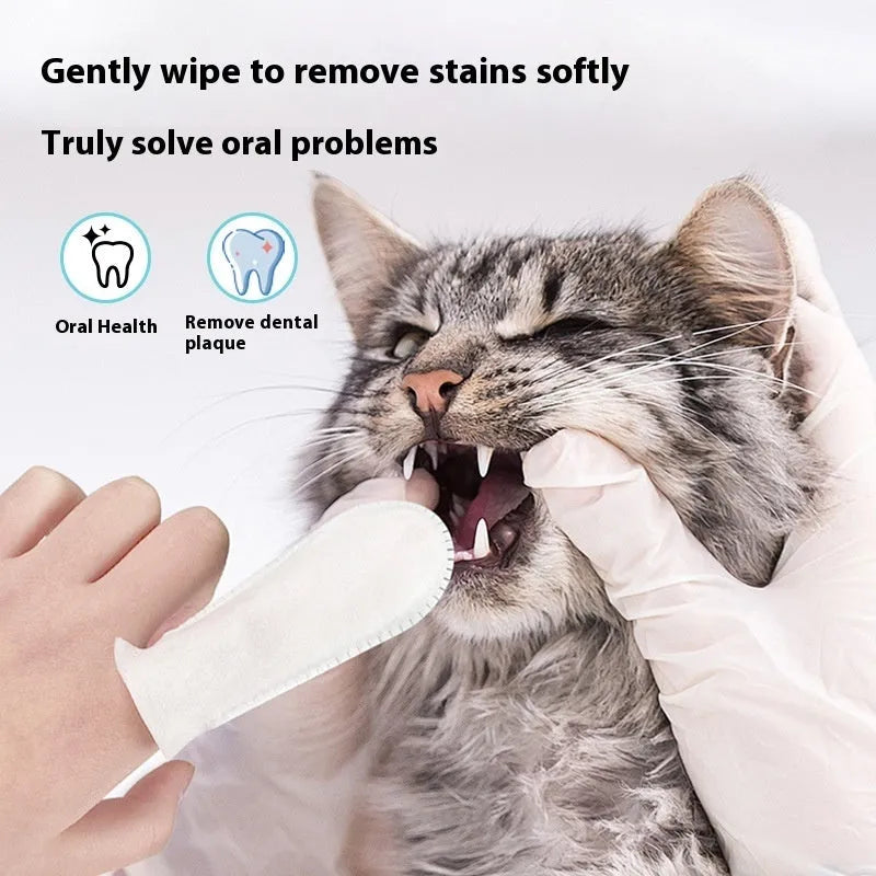 Pack of 50 white non-woven pet dental finger stalls for cleaning cat and dog teeth.