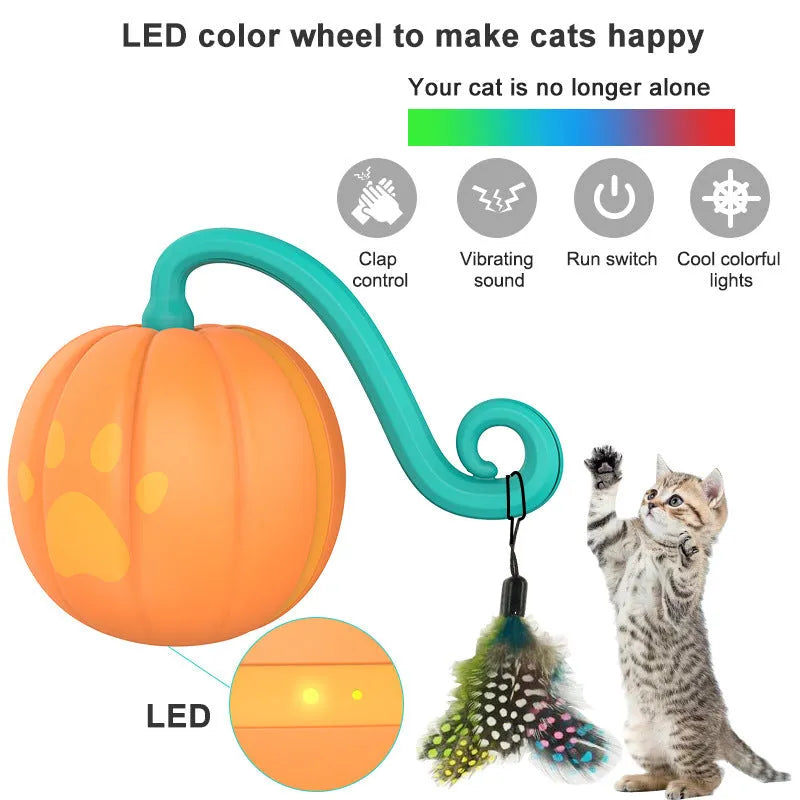 Electric cat toy ball with motion sensor and light up function in watermelon design
