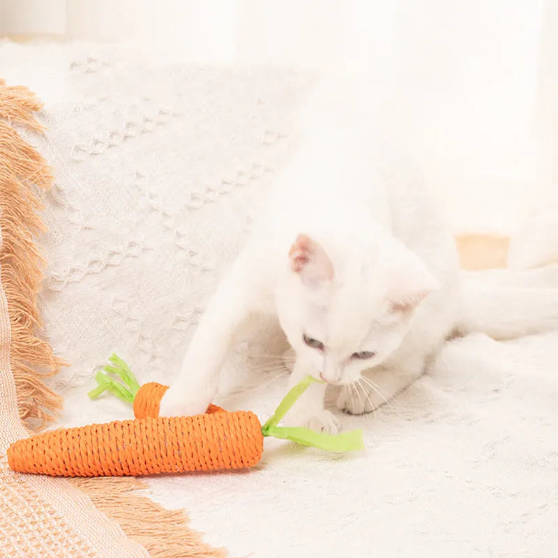 Set of cat toys including carrot-shaped bites, paper toys, ringing stones, and grinding sticks in two sizes.