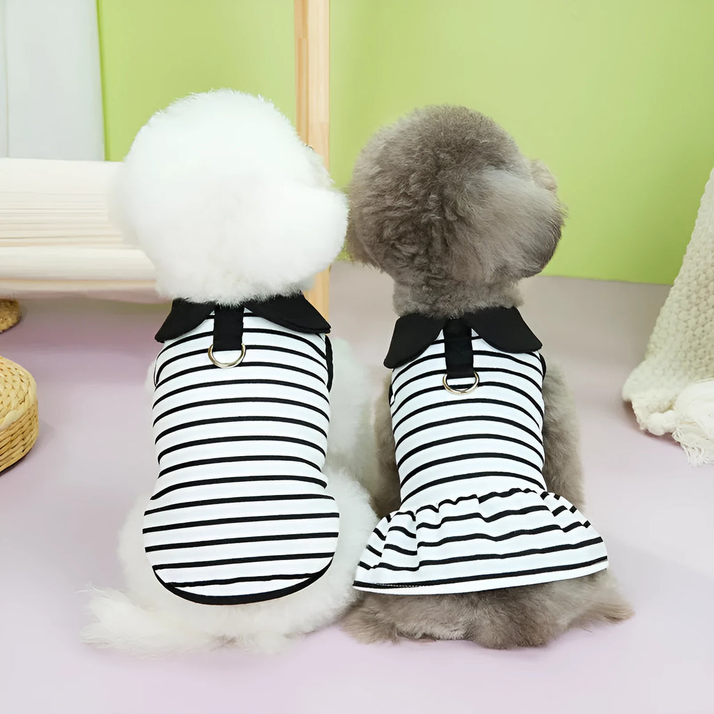 Striped pet T-shirt and skirt set for dogs and cats in summer cotton outfit