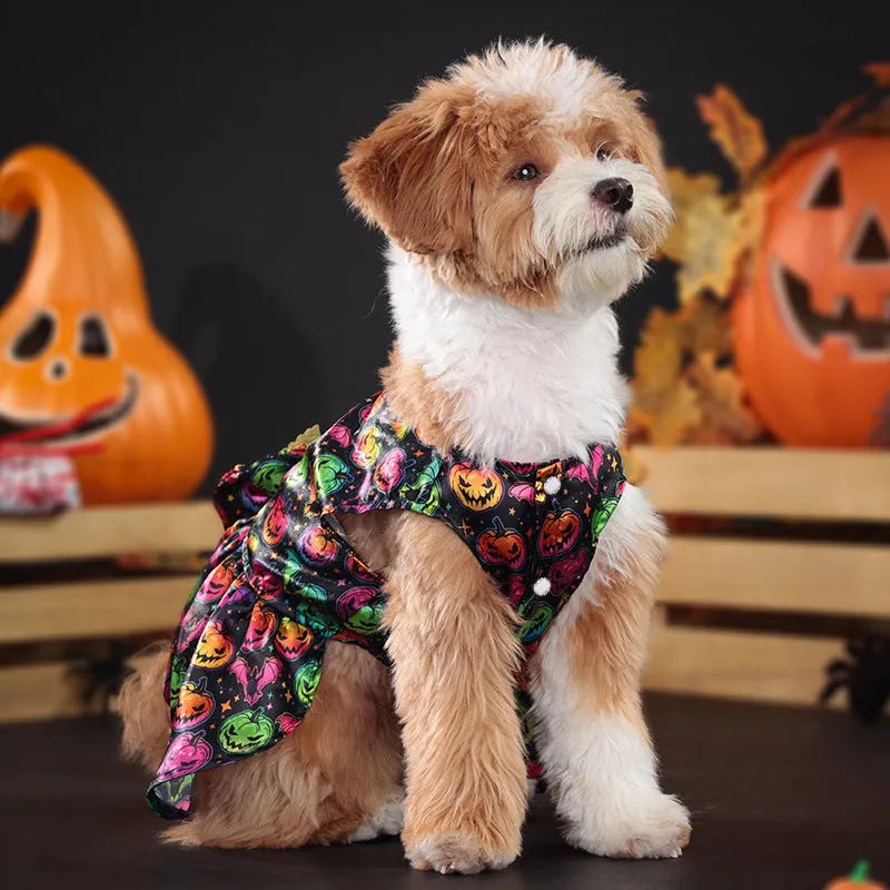 Angel wings Halloween dog costume in bright bat or pumpkin colour on pet