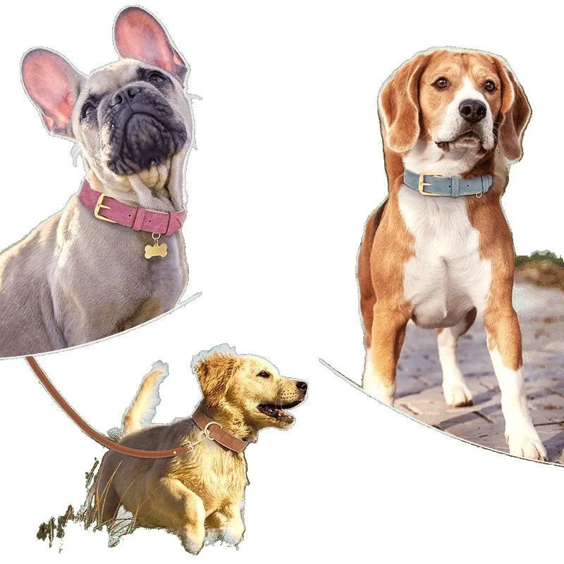 Double-layer leather dog collar with traction rope in rose red, brown, or blue colour