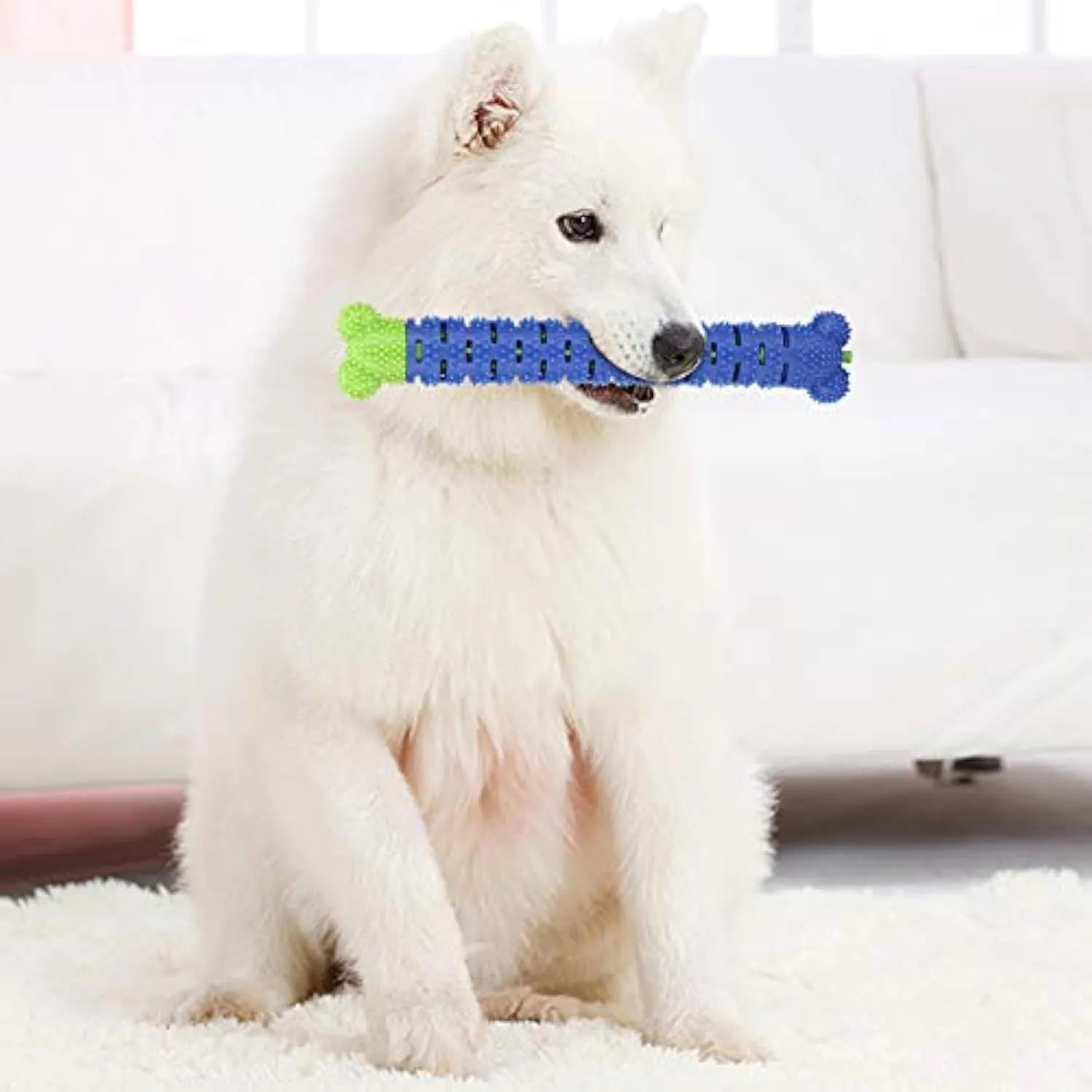 Blue green silicone dog dental cleaning stick with brush head and massage nodules for teeth and gum care