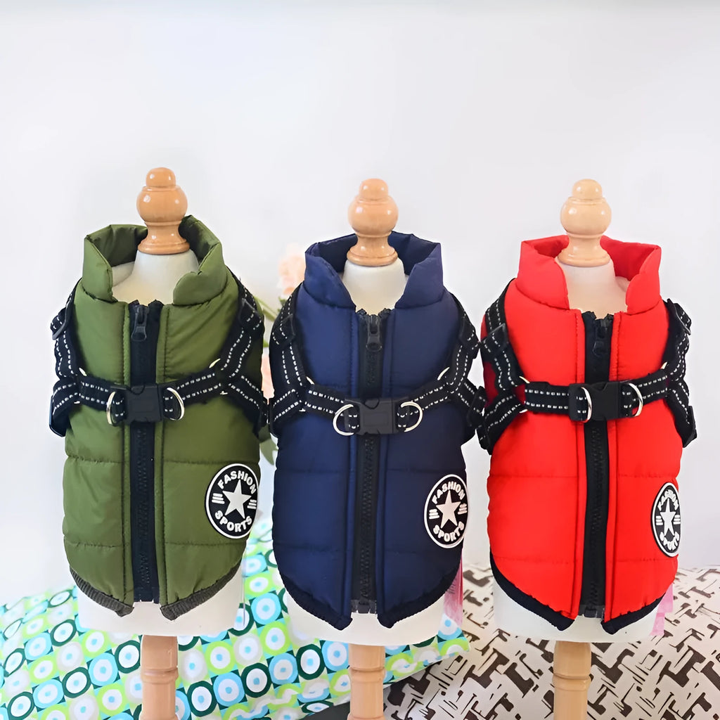 Red waterproof dog coat with integrated harness on a Labrador, showing the rain silk fabric and sizing options.