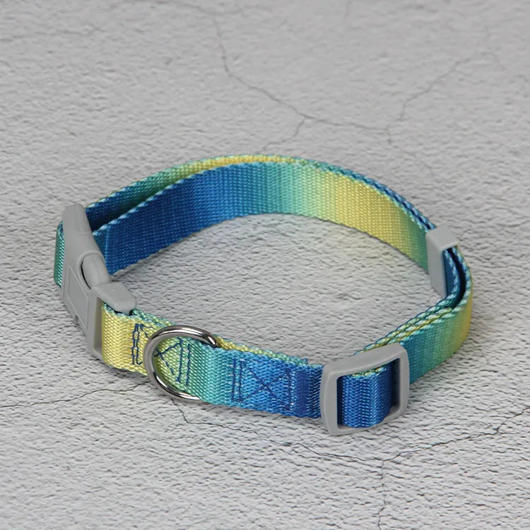 Gradient colour dog leash set showing pink and blue nylon collar and chest strap harness options